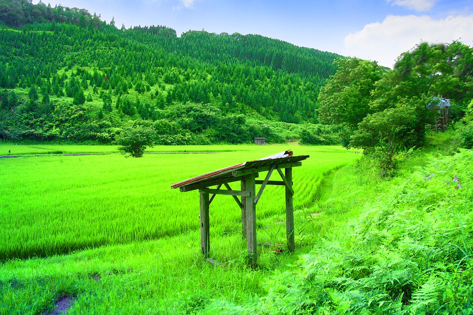 田園風景.jpg